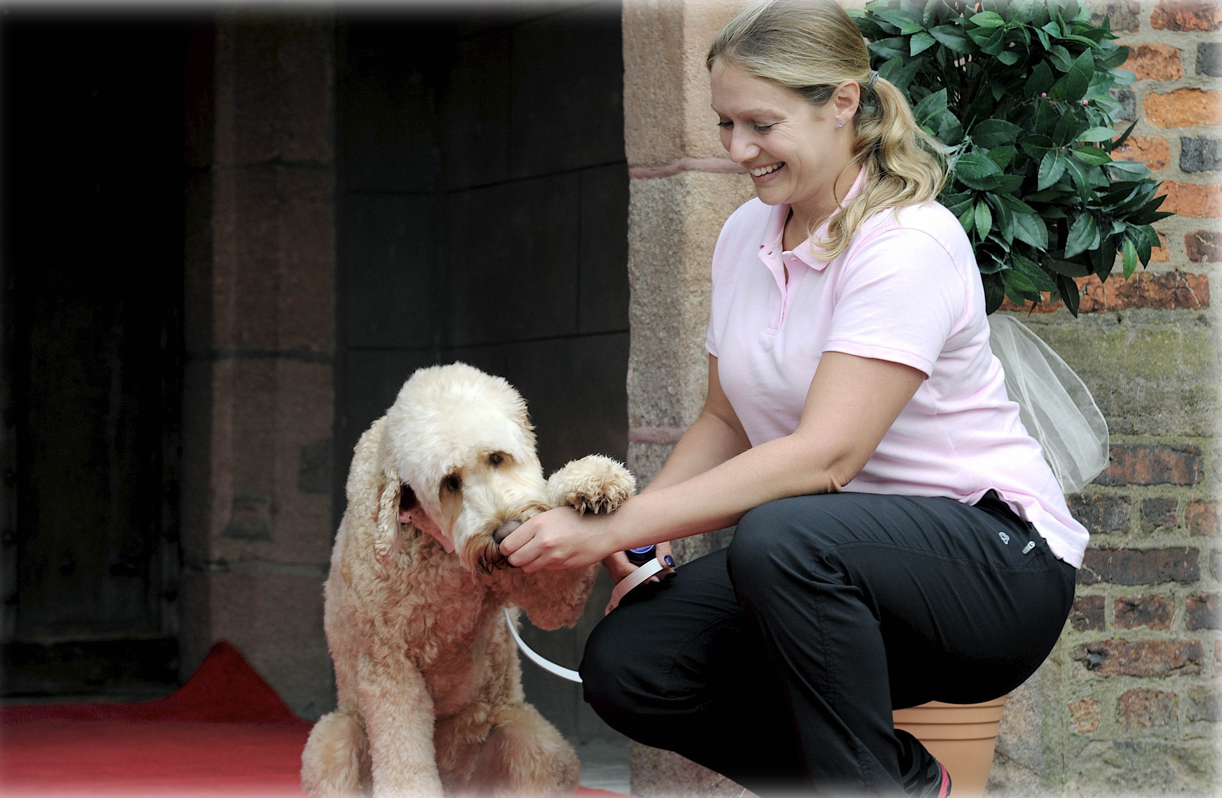 Emma training a Labradoodle